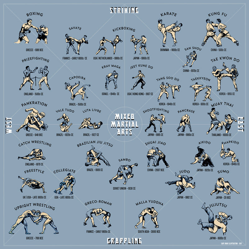 A Breakdown Of The Martial Arts Used In MMA